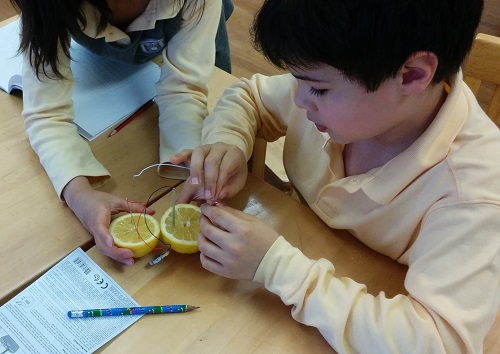 Making a Battery Circuit (做个电池电路)